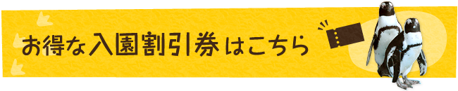 お得な入園割引券はこちら