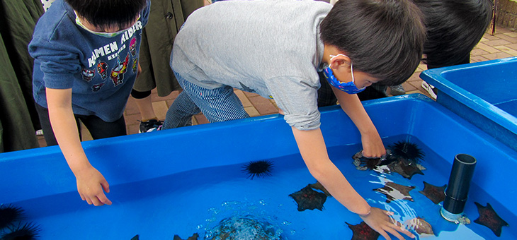 ふれあい水槽