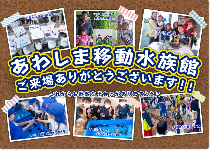 あわしま移動水族館 ご来場ありがとうございます！！これからも素敵な出会いがありますように