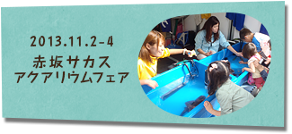 2013.11.2～4　赤坂サカスアクアリウムフェア