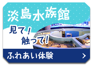ふれあい体験