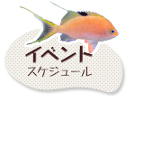 イベント