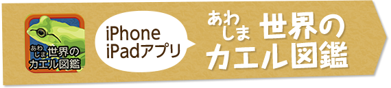 世界のカエル図鑑