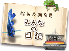 みんなの日記