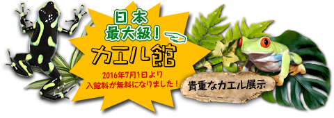 カエル館