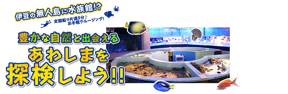 伊豆の無人島に水族館！？定期船で片道3分 お手軽クルージング！　豊かな自然と出会えるあわしまを探検しよう！！