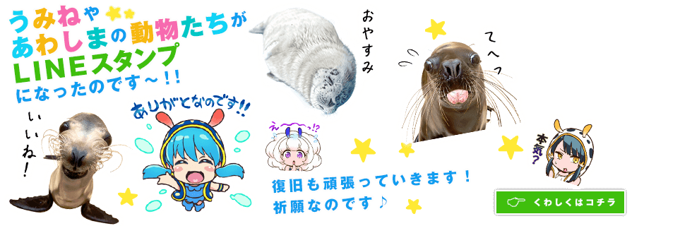 うみね達のLINEスタンプ第2弾（全40種）が登場なのです～！！